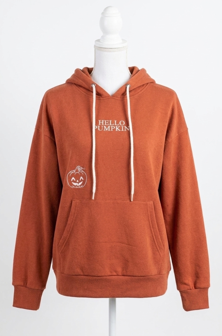NEW AMPERSAND AVE university hoodie in hello pumpkin